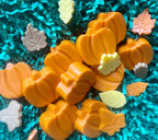 Orange pumpkin-shaped Pupkin Truffles dog treats arranged with colorful leaf-shaped treats on teal shredded paper.
