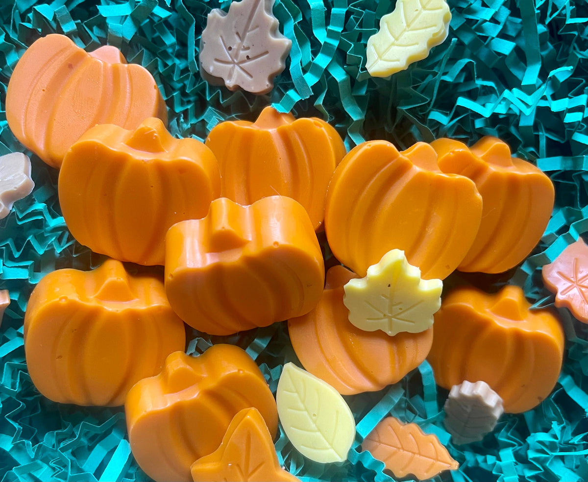 Orange pumpkin-shaped Pupkin Truffles dog treats arranged with colorful leaf-shaped treats on teal shredded paper.