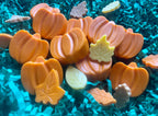 Orange pumpkin-shaped Pupkin Truffles dog treats arranged with colorful leaf-shaped treats on teal shredded paper.